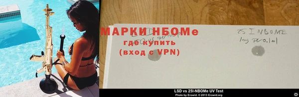 гидра Пролетарск