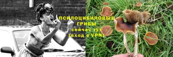 прущие крисы Алексеевка