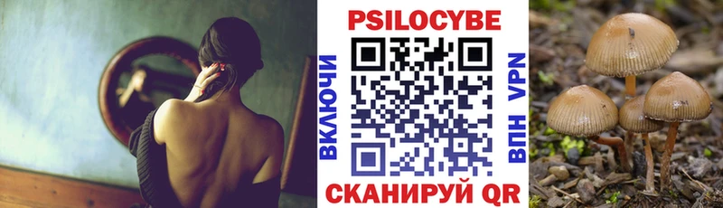Псилоцибиновые грибы Magic Shrooms  кракен как войти  Пенза 